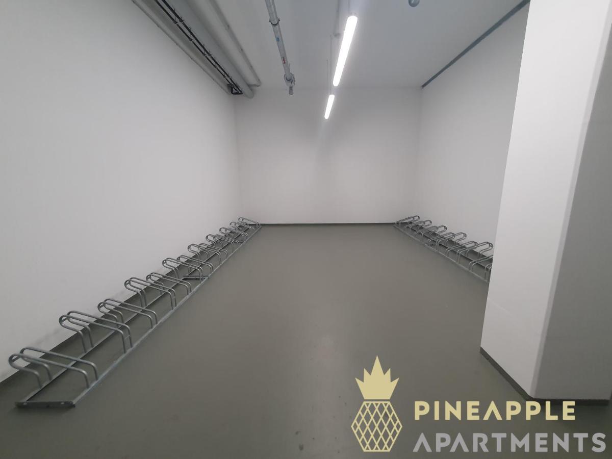 Pineapple Apartments Dresden Altstadt IV - 91 Qm - 1X Free Parking Luaran gambar
